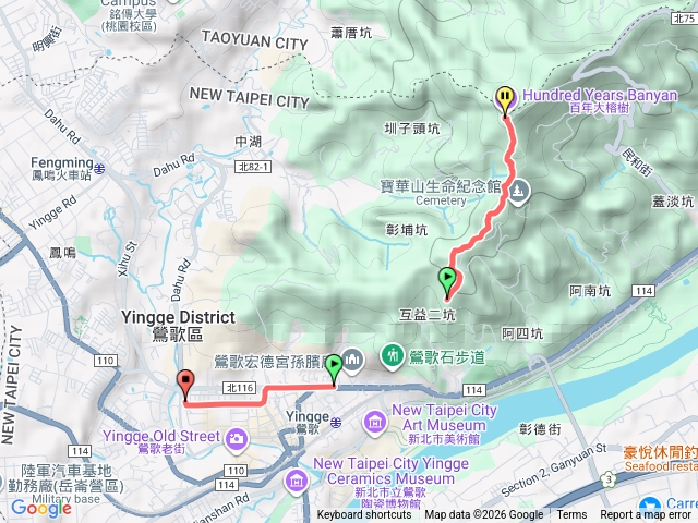 光明山稜線大榕樹