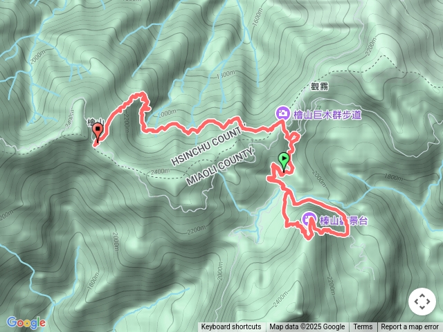 觀霧榛山+巨木群