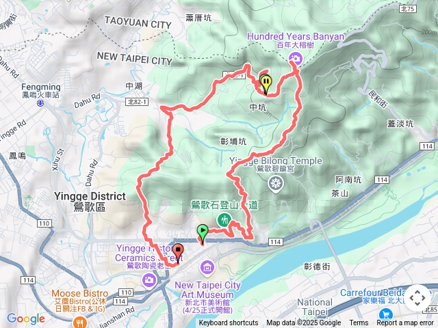 鶯歌百年大榕樹連走