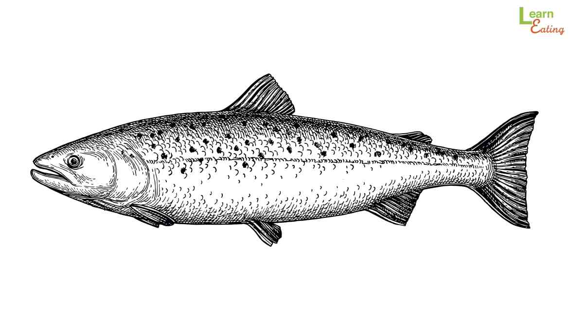 【知識】保護關節、護膚養顏新盛品「鮭魚蛋白聚醣」你聽過了嗎？