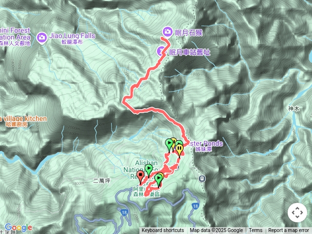 20250607 阿里山 眠月線- 水山療癒步道-水山巨木步道