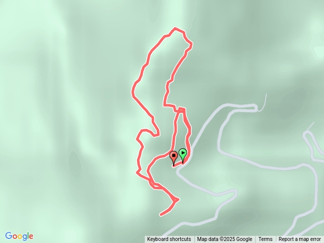 2025-10-26 [嘉義 阿里山] 杜仔湖步道｜雙子山｜杜鵑峽谷 O繞路線預覽圖