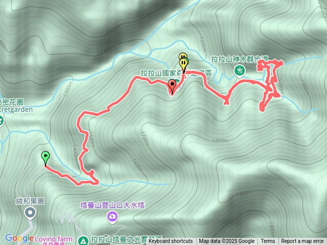 拉拉山國家森林遊樂區 (神木群全覽,O型)
