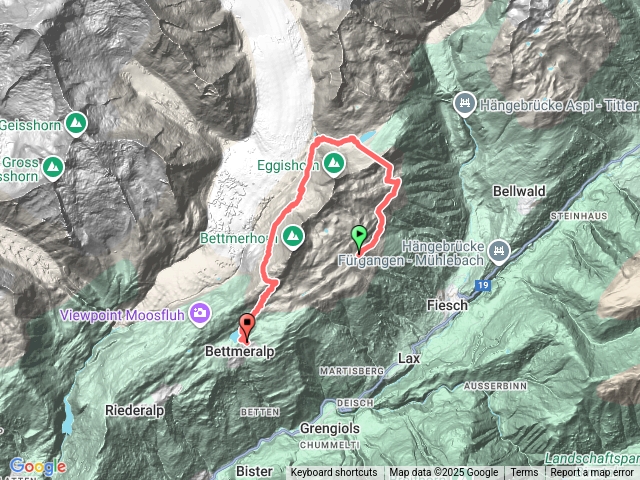 阿萊奇冰川健行