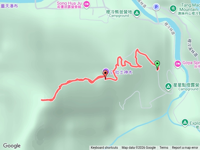 谷關八雄▶️阿冷山北峰（原路迴）預覽圖