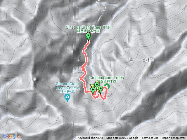 鎮西堡神木群B區