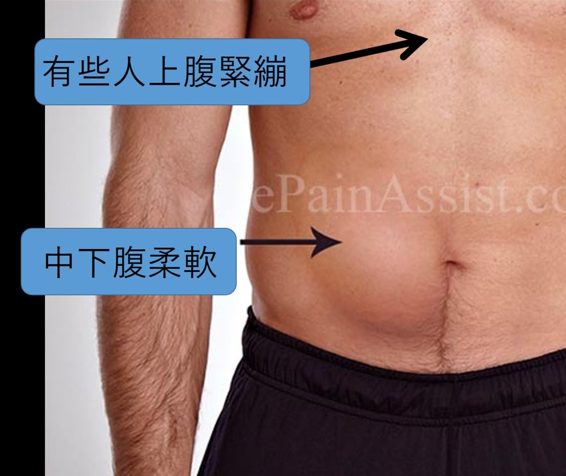 腹部.jpg