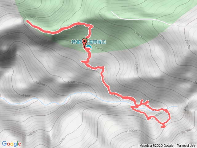 特富野古道走拉拉喀斯巨木群 梯子板山