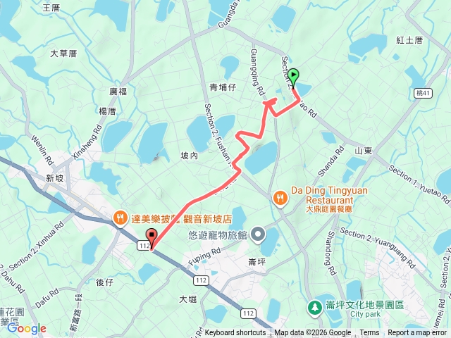 2026-05-03 桃園觀音白千層鐵砲百合─東福園站→白千層鐵砲百合花園→白千層隧道→頂大同站