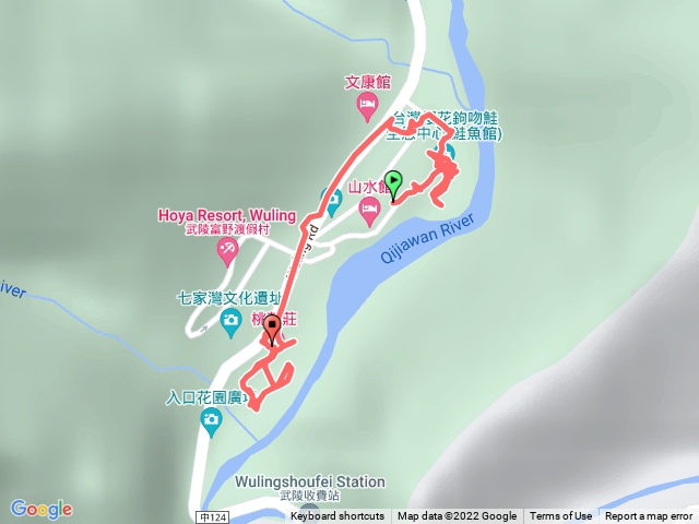 1111211武陵農場銀杏林