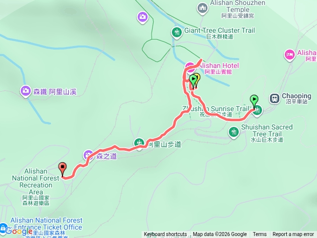 阿里山櫻王（遊園車到沼平）