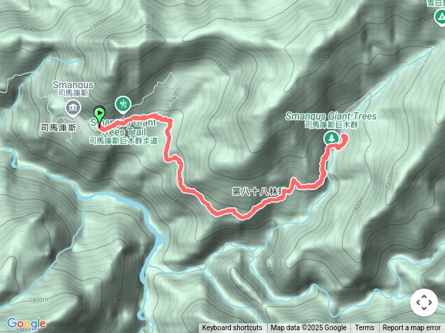 20250228 司馬庫斯巨木群步道