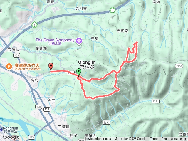 飛鳳大板根環狀線