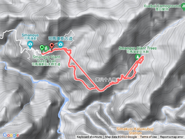 司馬庫斯神木群