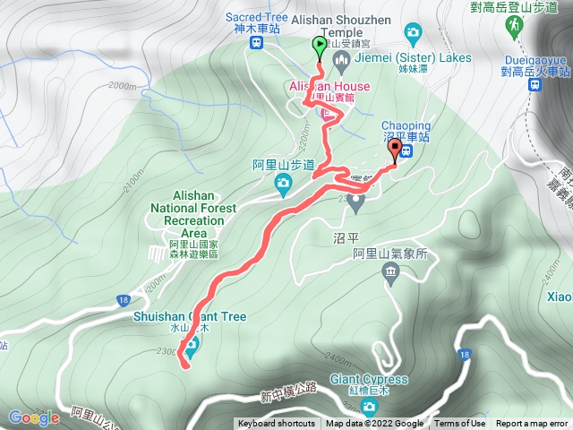 阿里山森林巨木群步道+水山巨木