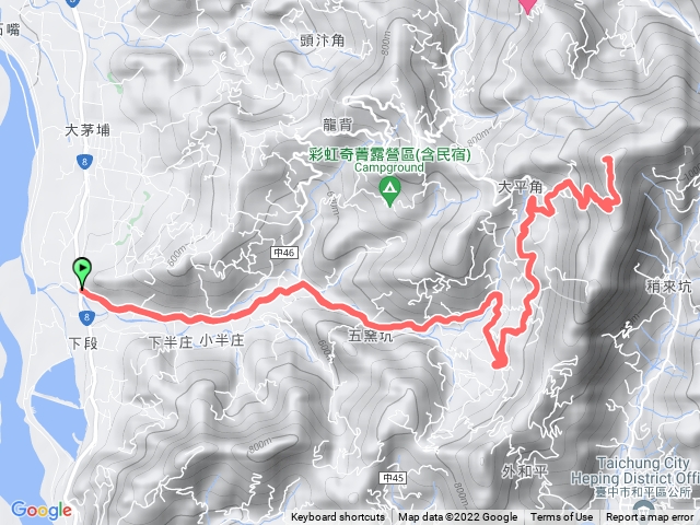 太平瓏山之好多野狗