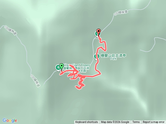 棲蘭神木園步道