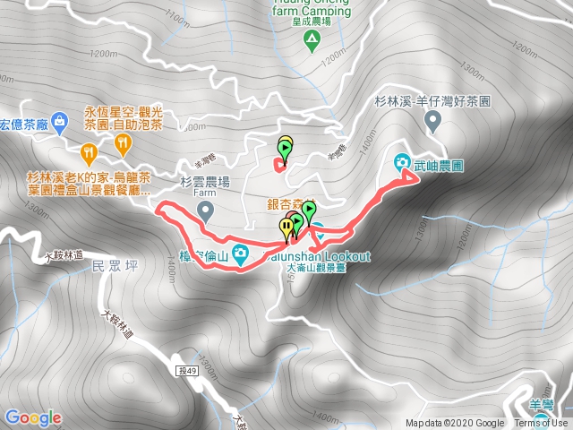 大崙山銀杏林（大崙頭、樟空倫、貓冬望）