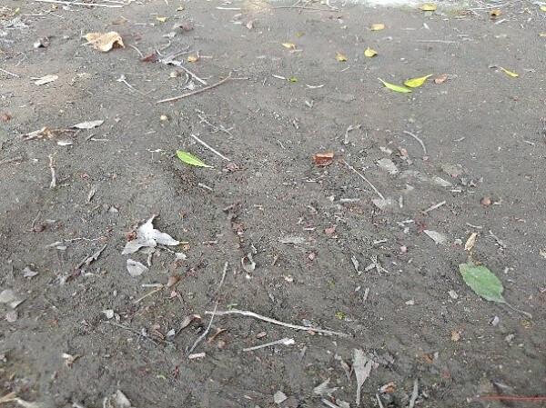 跑鞋抓地力知多少?