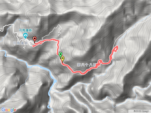 巨木群老貓2020-7/6
