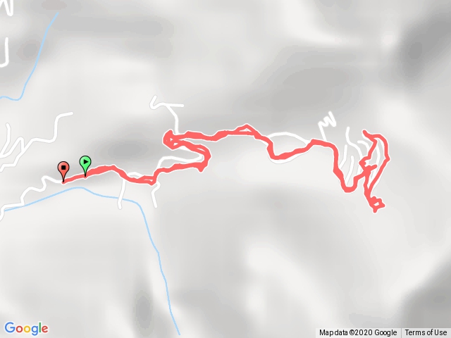 2020/11/21大克山原始步道（此路不通）