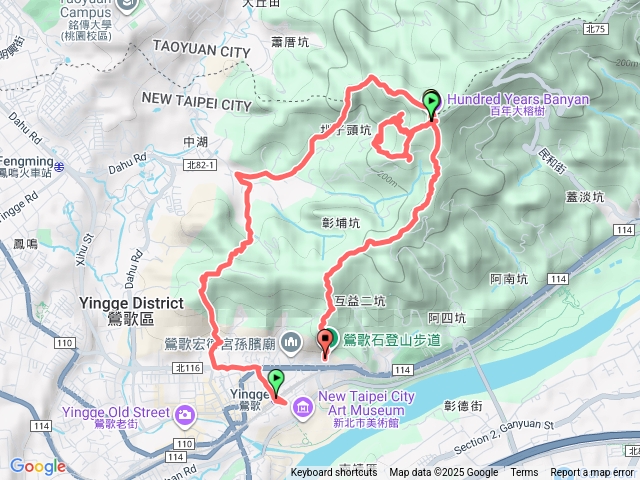 鶯歌百年榕樹16顆巡禮