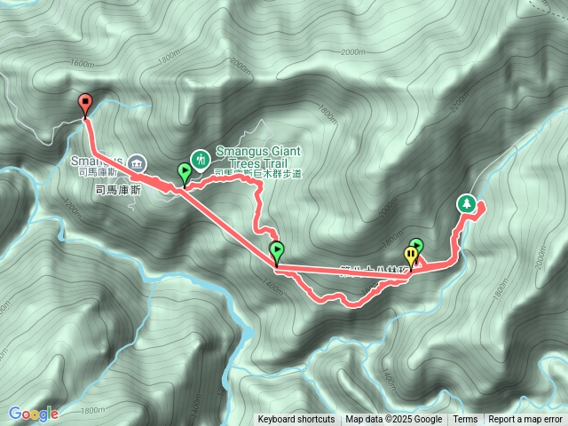 司馬庫斯巨木群