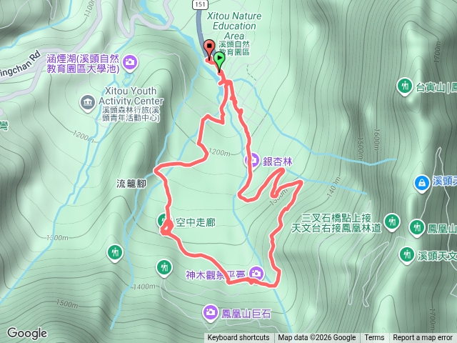 溪頭森林
