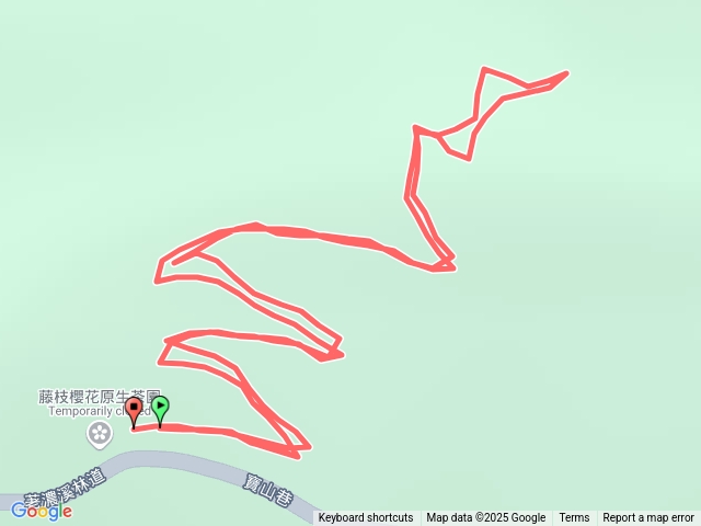 2025 02 19 藤枝山