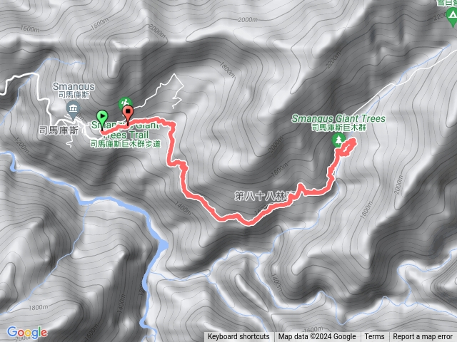 司馬庫斯巨木登山步道