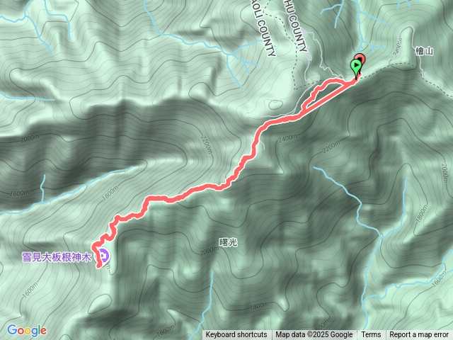 觀雪縱走-觀霧大板根（原進原出）