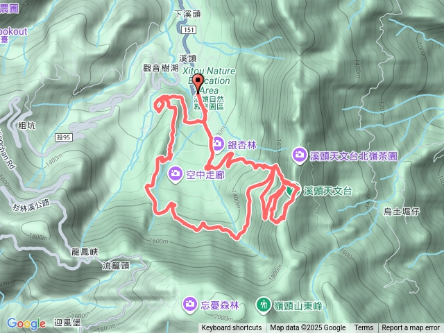 溪頭森林遊樂區