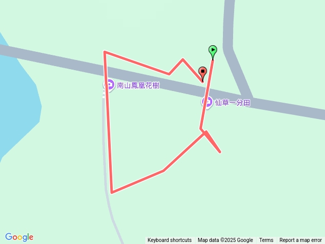 仙草花季_關西鎮一分田