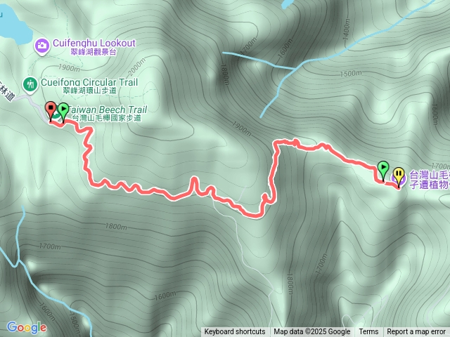 2511山毛櫸步道預覽圖