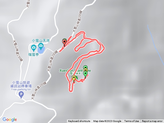 大雪山神木步道