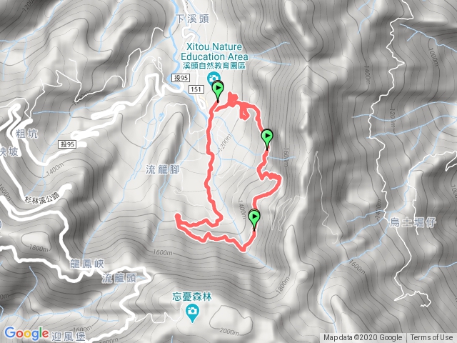 20201102溪頭賞鳥步道與鳳凰林道與神木步道