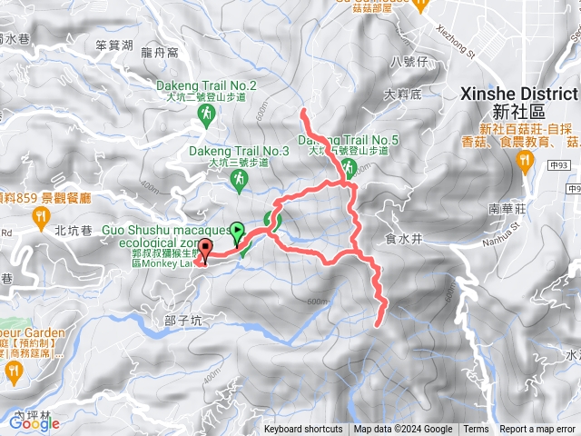 大坑四號上黑山北峰,黑山,石苓湖山,頭科山,五號回3號下3之1