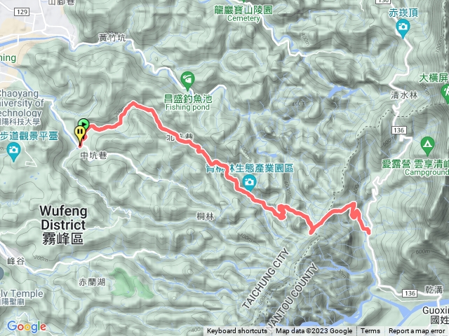 20241029青桐林生態步道