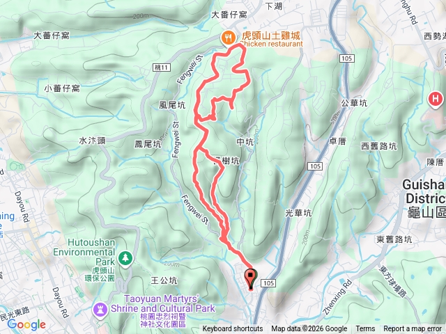 20260125 風尾路百年楓香 楓樹坑生態步道 楓樹坑山 8字行