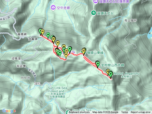 忘憂森林金柑樹山嶺頭山秘徑