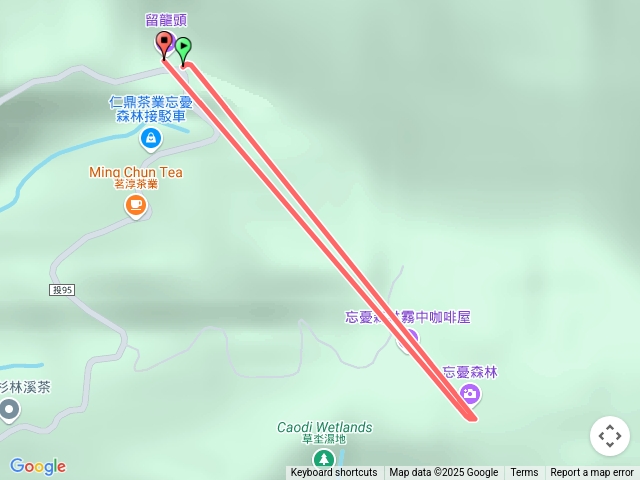 嶺頭山金柑樹忘憂森林