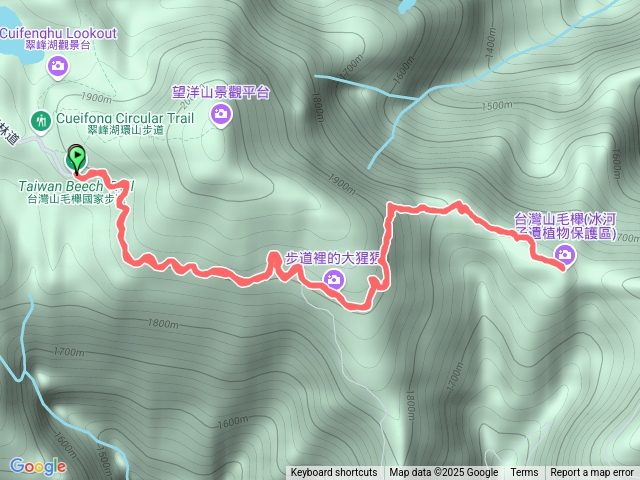 20250121台灣山毛櫸步道(原路往返)預覽圖