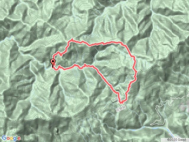1090620_鳥菇烘大O縱走--桶後林道13k吊橋-鳥口尖山-菇婆寮尖-烘爐地山-下桶後越嶺7k處-回桶後林道13k吊橋-O型縱走