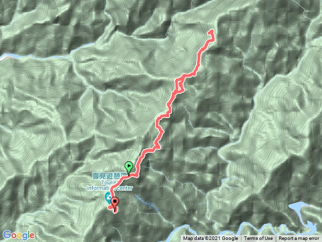 2021/04/25 北坑山大板根