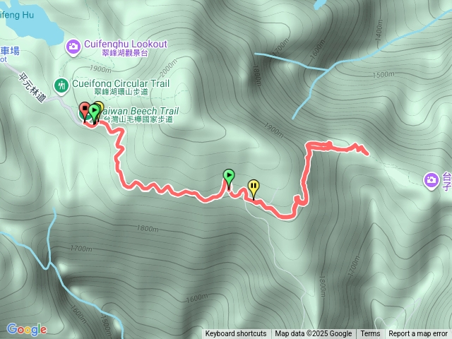 台灣山毛櫸步道