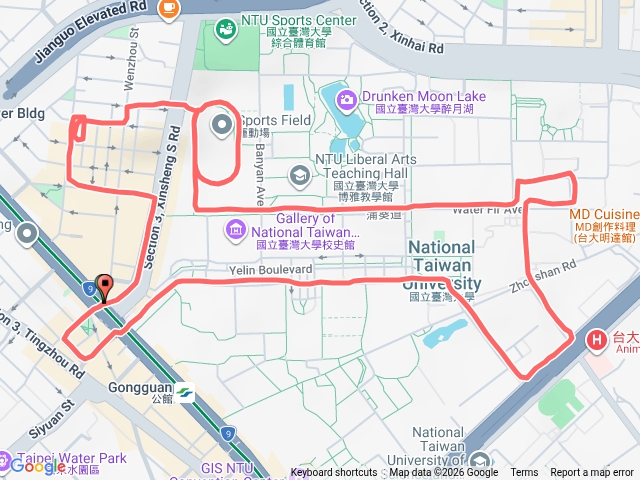 台大狗