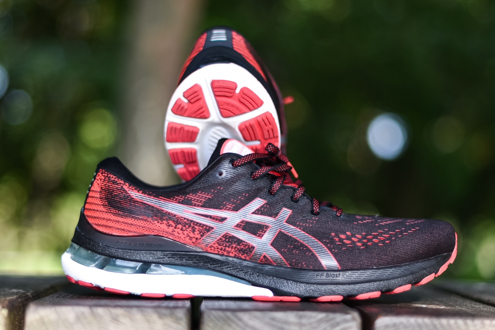 catch of the day kayano