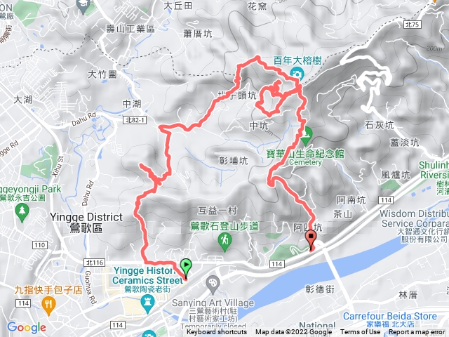 20220918-鶯歌大榕樹