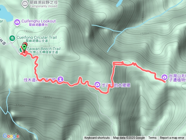 翠峰湖山毛櫸步道