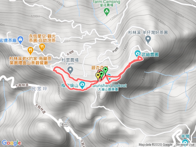 大崙山銀杏茶園步道：環走大崙頭山、貓冬望山、樟空倫山